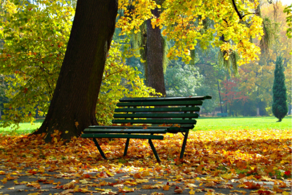 Ukradené milosrdenství