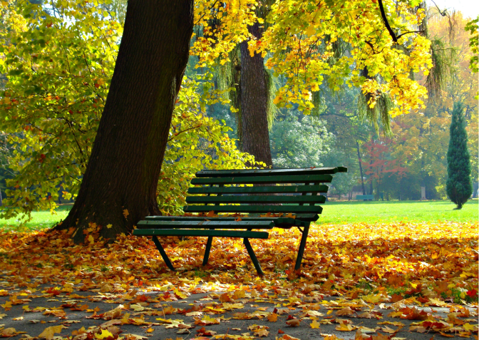 Ukradené milosrdenství